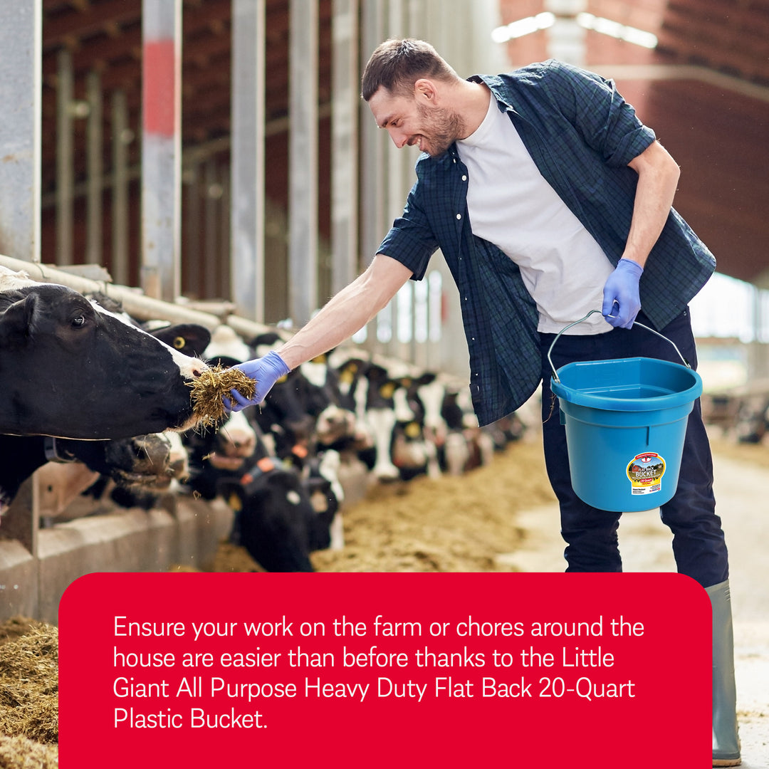 Little Giant All Purpose Heavy Duty Flat Back 20 Quart Plastic Bucket, Teal