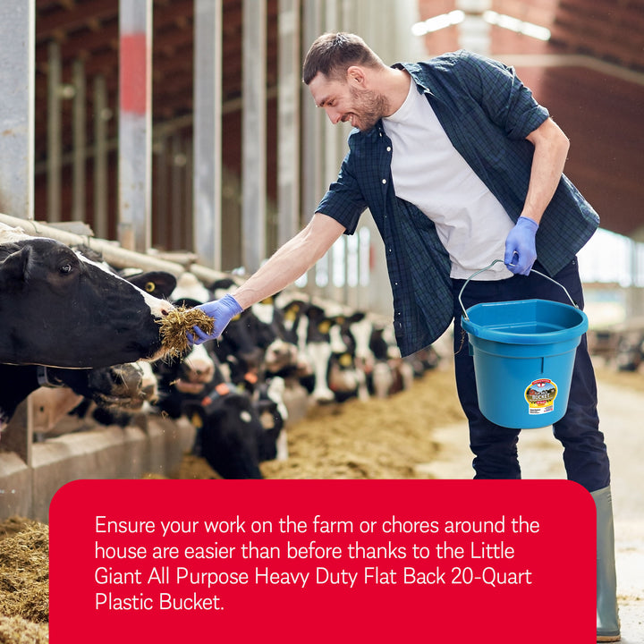 Little Giant All Purpose Heavy Duty Flat Back 20 Quart Plastic Bucket, Teal