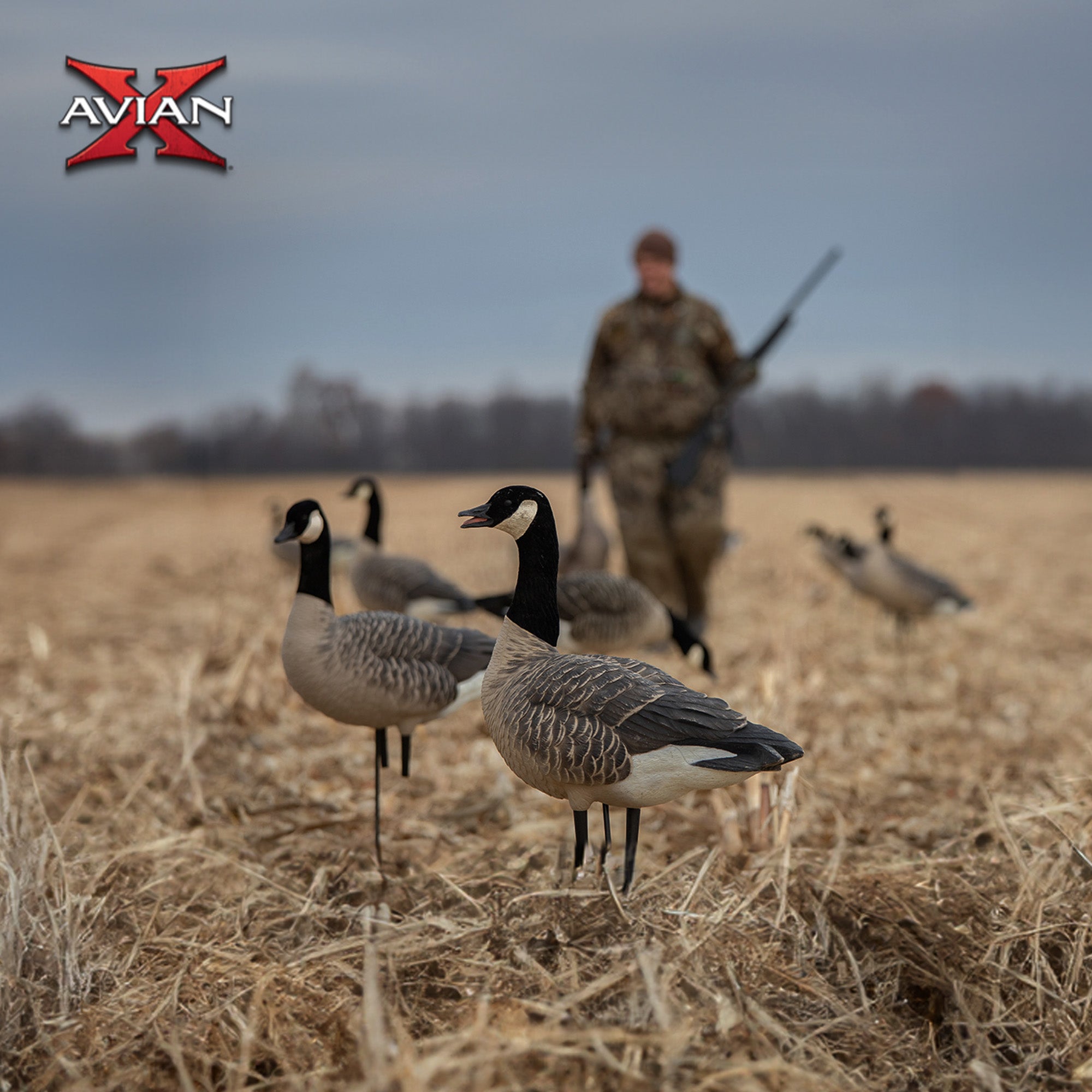 Avian X AXP 6 Piece Honker Sentry Walker Realistic Goose Hunting Decoy, 2 Pack - VMInnovations