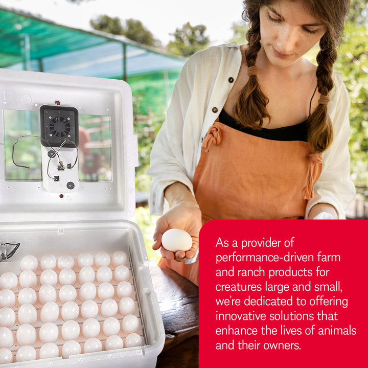 Little Giant 11300 Deluxe Digital Incubator with Fan and Automatic Egg Turner