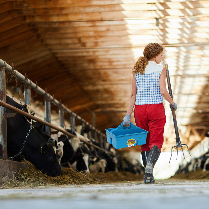 Little Giant DuraTote Plastic Box Organizer w/2 Compartments & Grip Handle, Teal - VMInnovations