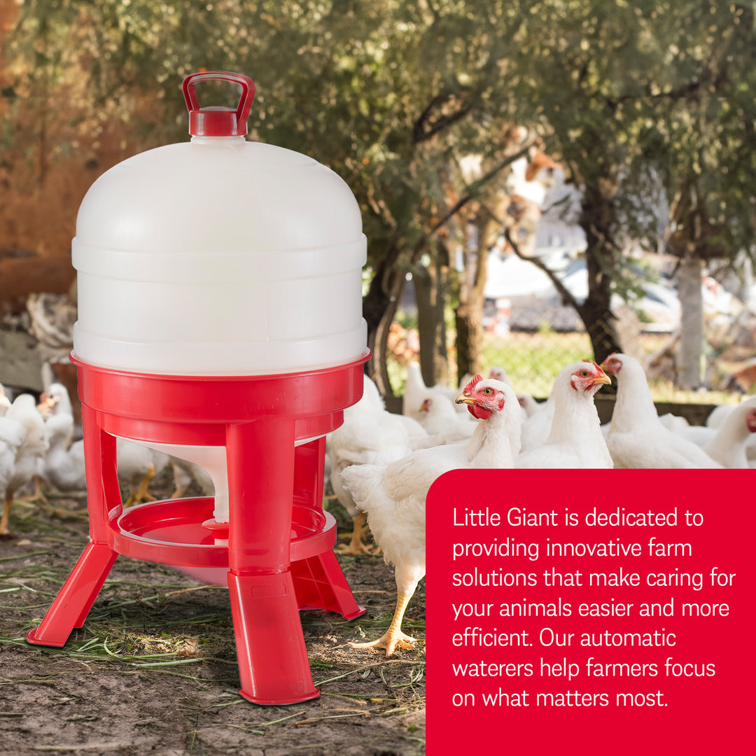 Little Giant 8 Gallon Tank Heavy Duty Poultry Chicken Gravity Waterer (4 Pack)