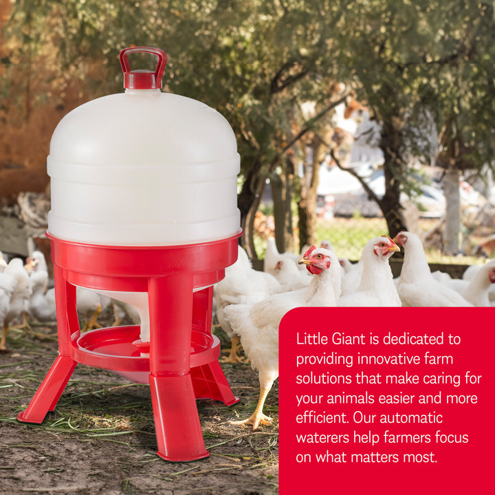 Little Giant 8 Gallon Tank Heavy Duty Poultry Chicken Gravity Waterer (4 Pack)