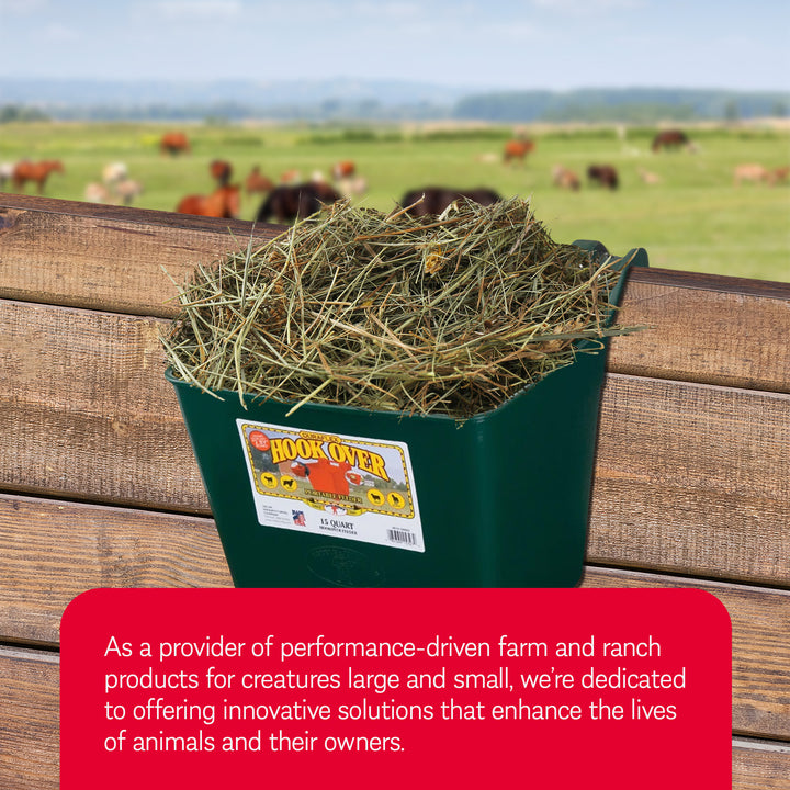 Little Giant Heavy Duty 15 Quart Mountable Plastic Hook Feeder, Green (Open Box)