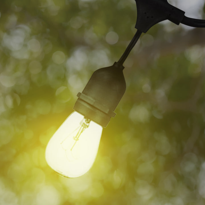 Globe Electric Dublin 48' LED Vintage S14 80 Lumens 24-Bulb String Light Set - VMInnovations