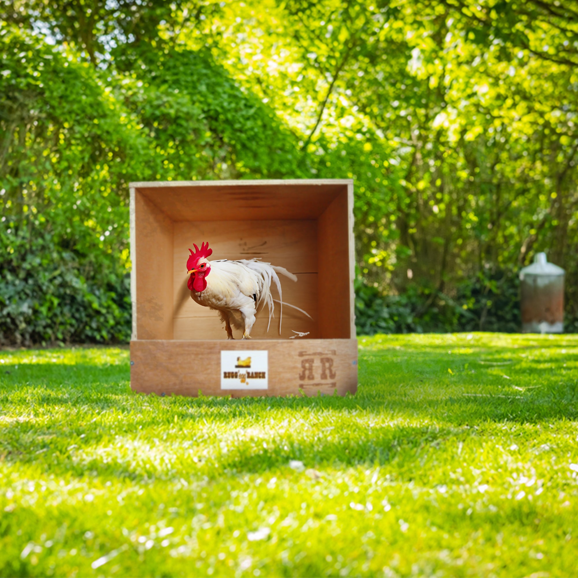 Rugged Range Products Studio Chicken Coop Interior Nesting Box for 1 to 2 Hens - VMInnovations