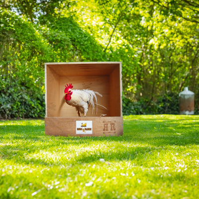 Rugged Range Products Studio Chicken Coop Interior Nesting Box for 1 to 2 Hens - VMInnovations