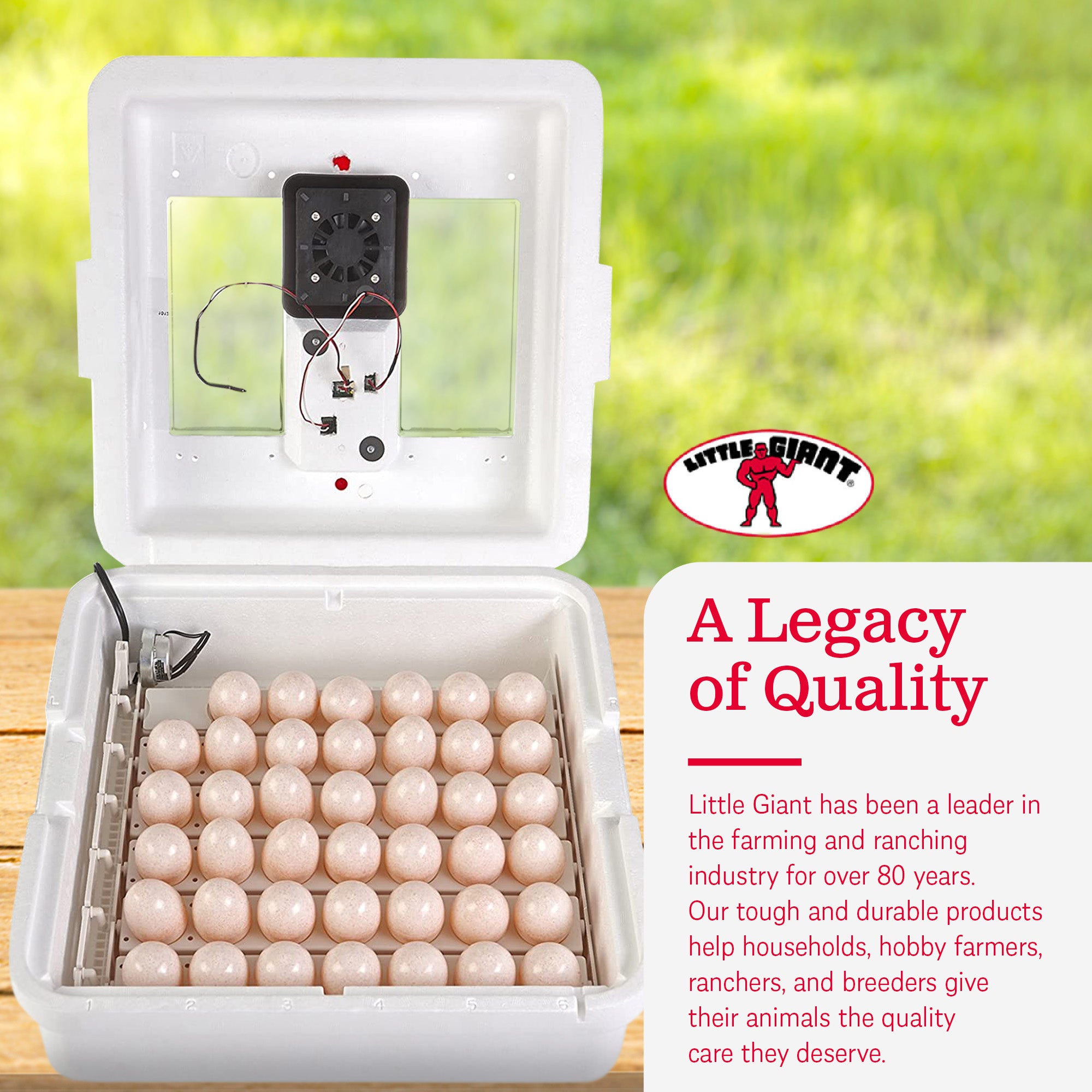 Little Giant 11300 Digital Incubator with Fan and Automatic Egg Turner(Open Box) - VMInnovations