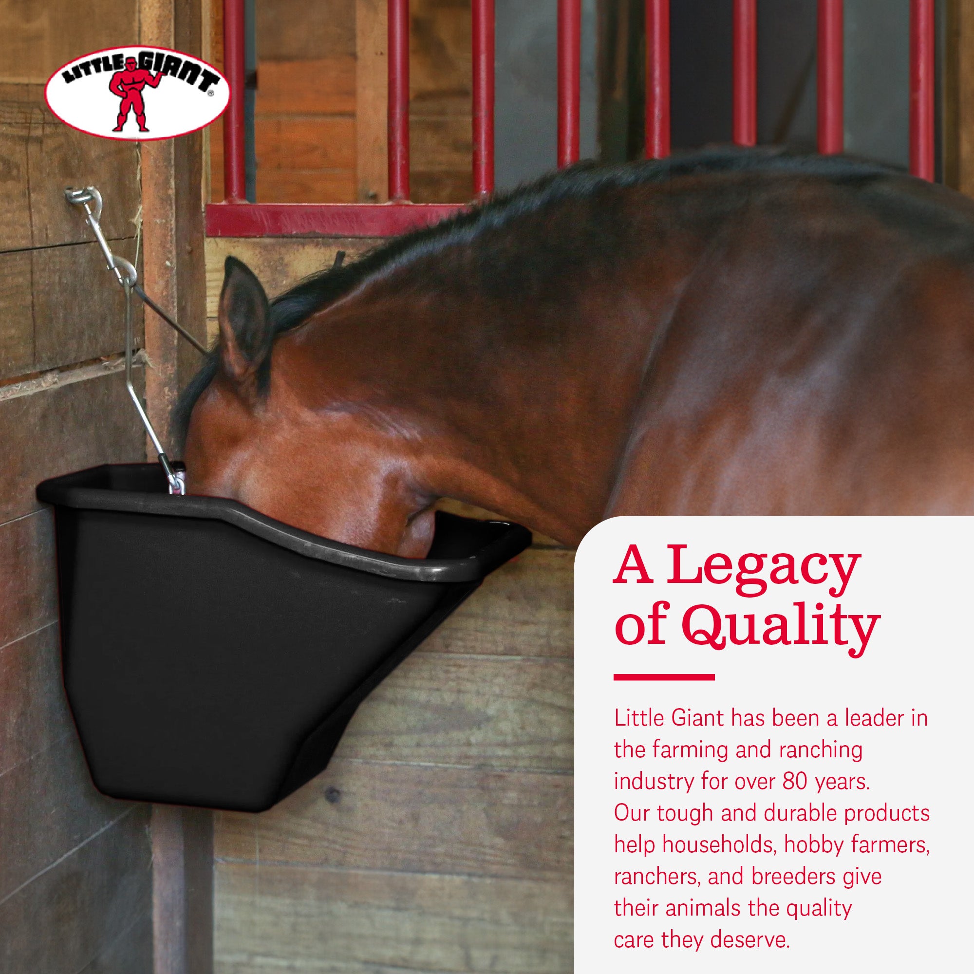 Little Giant 20-Qt Durable Plastic Flat Back Livestock Feed Bucket, Black (Used) - VMInnovations