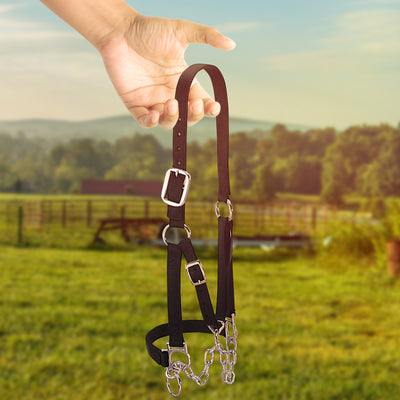 Weaver Leather Medium Cattle Halter with Double Stitched Nylon and Chin Choker - VMInnovations