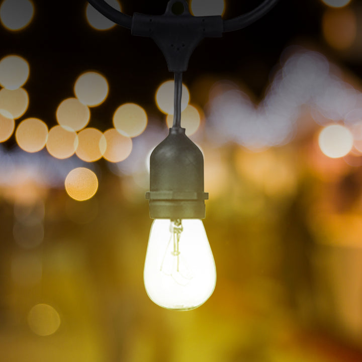 Globe Electric Dublin 48' LED Vintage S14 80 Lumens 24-Bulb String Light Set - VMInnovations