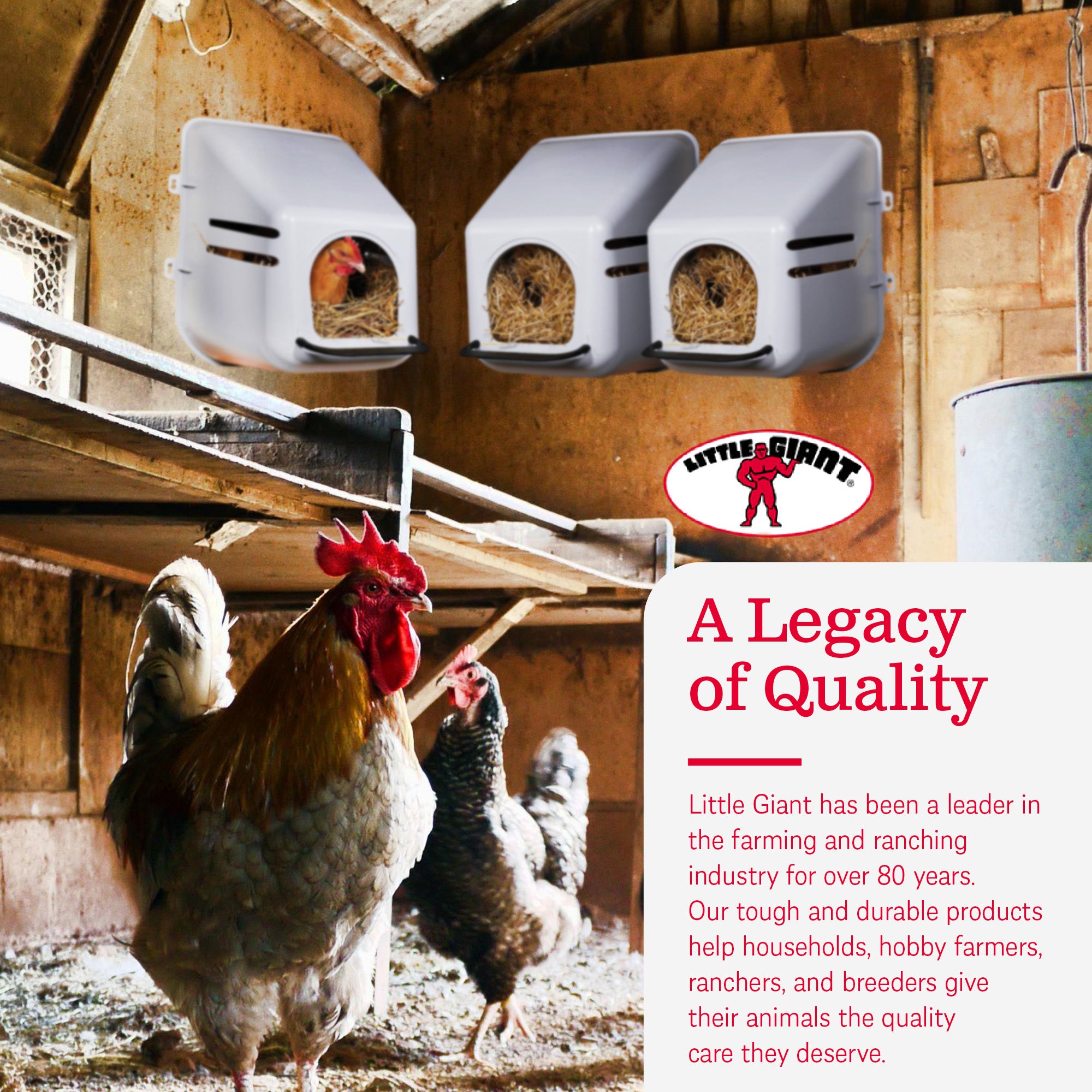 Little Giant Single Plastic Mountable Chicken Nesting Box w/Ventilation(OpenBox) - VMInnovations