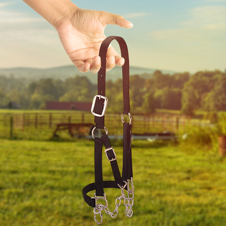 Weaver Leather Medium Cattle Halter with Double Stitched Nylon and Chin Choker