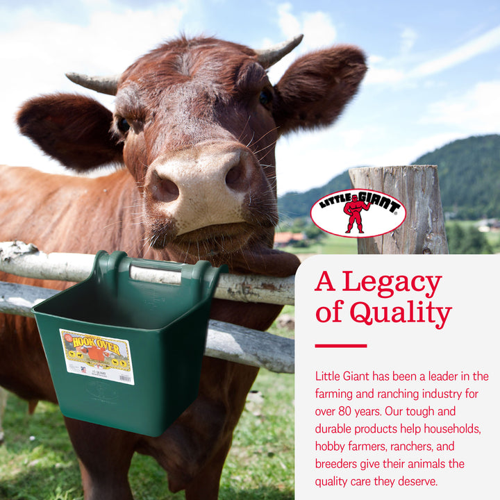 Little Giant Heavy Duty 15 Quart Mountable Plastic Hook Feeder, Green (Open Box)