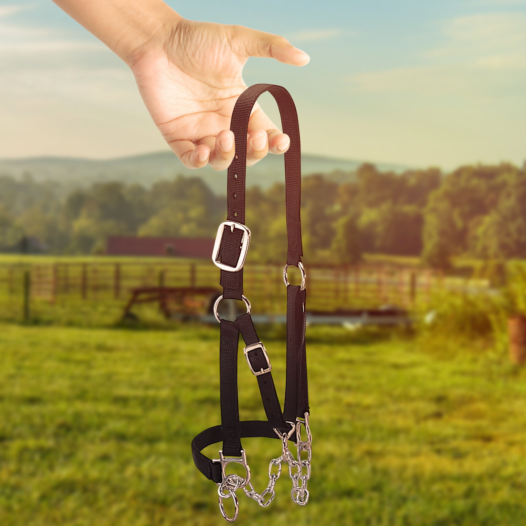 Weaver Leather Medium Cattle Halter with Double Stitched Nylon and Chin Choker - VMInnovations