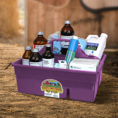Little Giant Plastic Box Organizer w/2 Compartments & Handle, Purple (Open Box) - VMInnovations