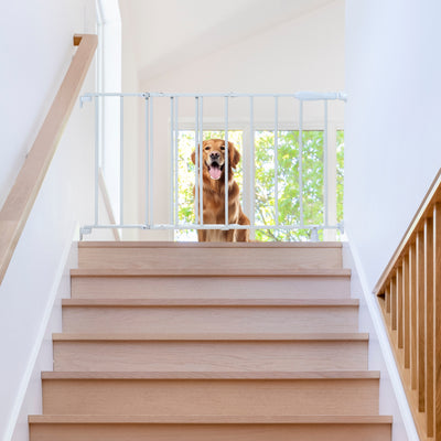 Ingenuity 30" Infant Top of Stairs Simple to Secure Baby Gate, White (Open Box)