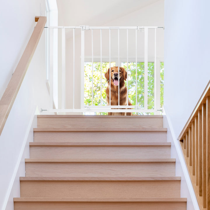 Ingenuity Ozzy & Kazoo 36” Tall Walk Through Dog Gate For Doorway or Stairway