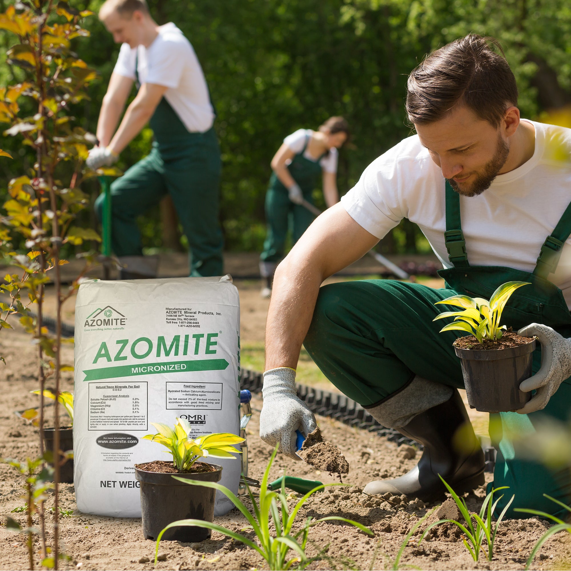 Azomite 44 lbs Micronized Organic Trace Mineral Soil Additive Fertilizer Powder