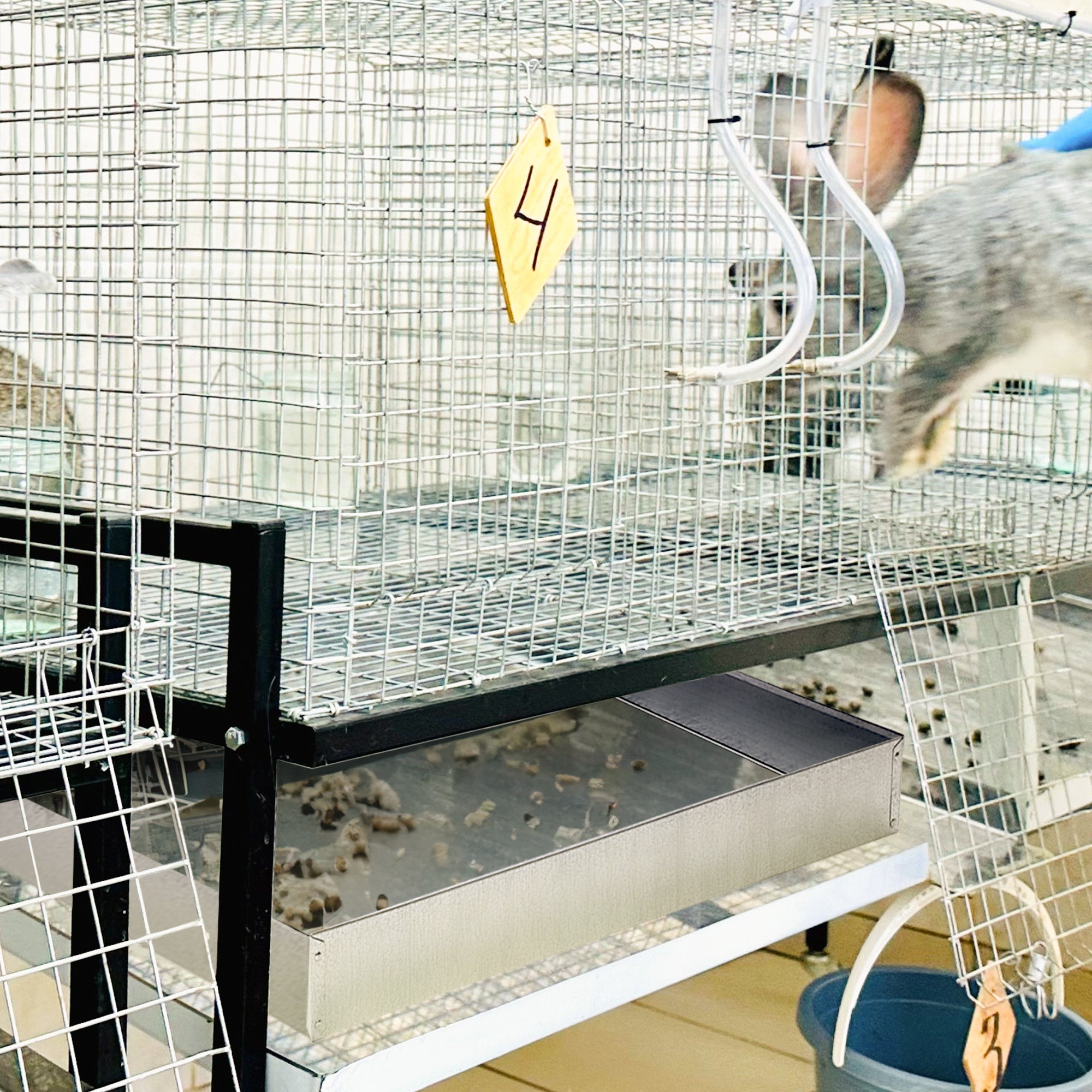 Pet Lodge 24 x 24 x 2.75 Inches Heavy Duty Metal Rabbit Hutch Dropping/Waste Pan - VMInnovations