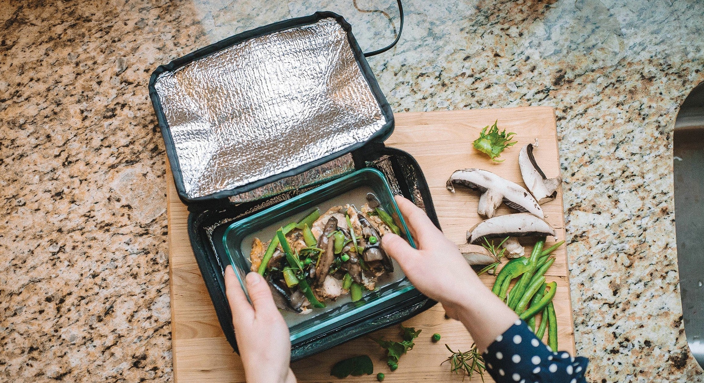 HotLogic Mini Portable Thermal Food Warmer for Office and Travel, Aqua Floral - VMInnovations
