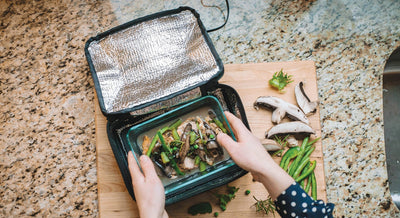 HotLogic Mini Portable Thermal Food Warmer for Office and Travel, Aqua Floral - VMInnovations