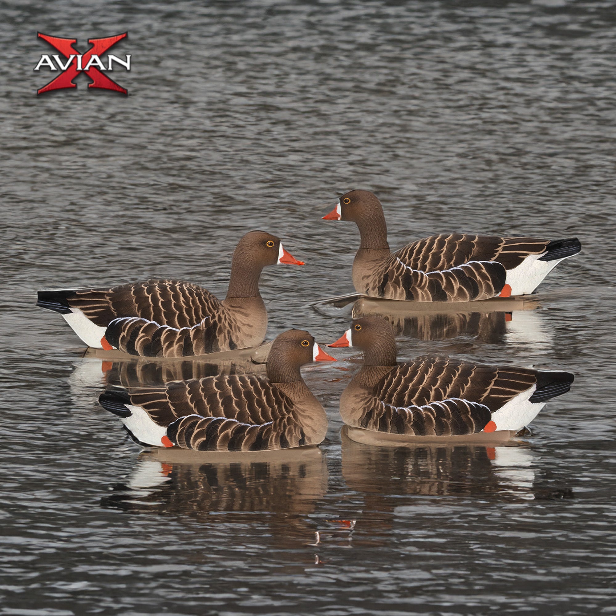 Avian X Topflight Specklebelly Goose Decoys with True to Life Postures, 12 Pack