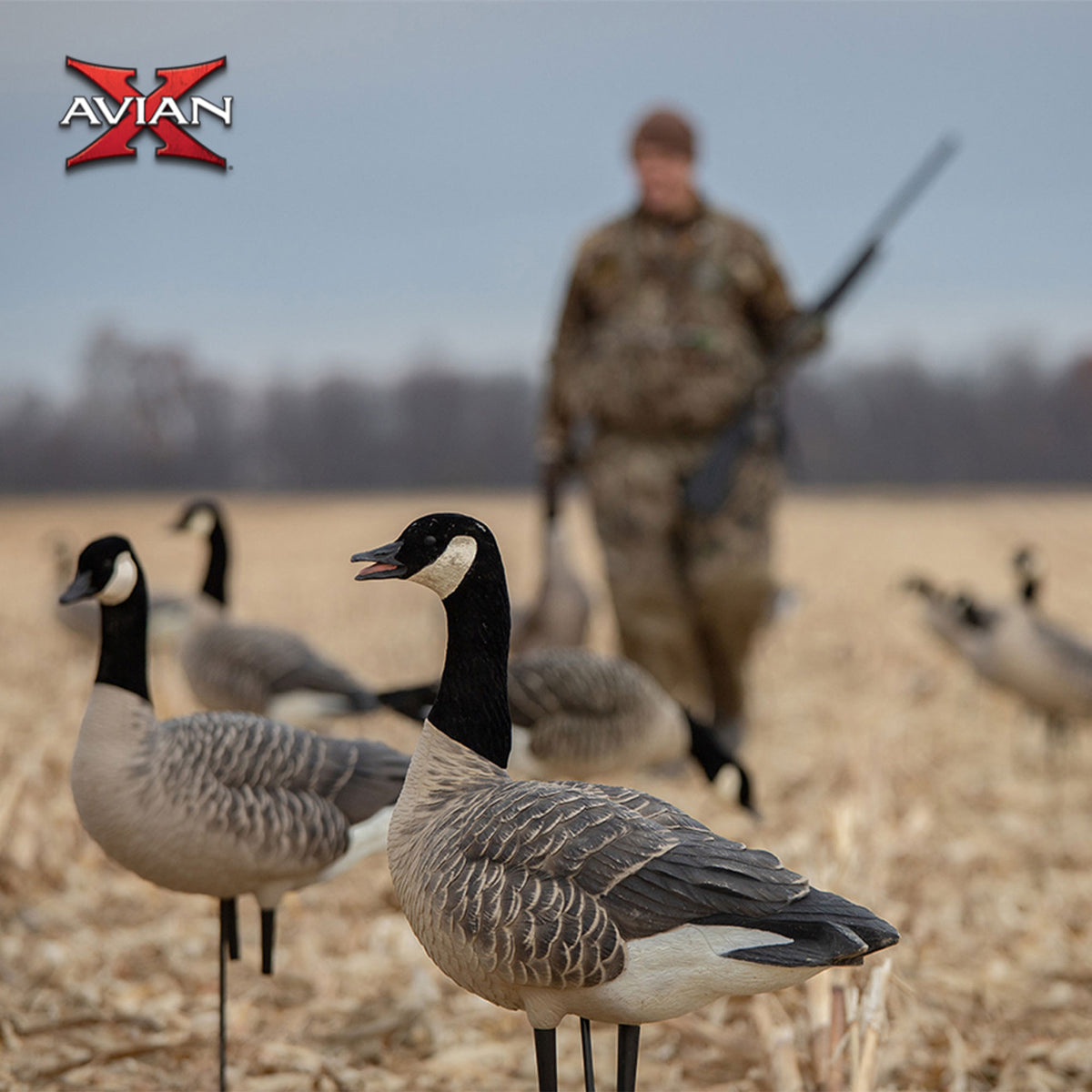 Avian X AXF Lessers Flocked Full Body Lifelike Goose Hunting Decoys, 12 Pack