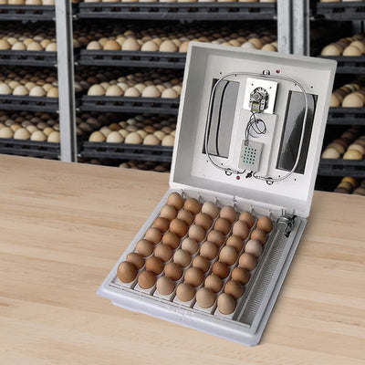 Farm Innovators 40W Digital Circulated Air Incubator for Up to 4 Eggs (4 Pack) - VMInnovations