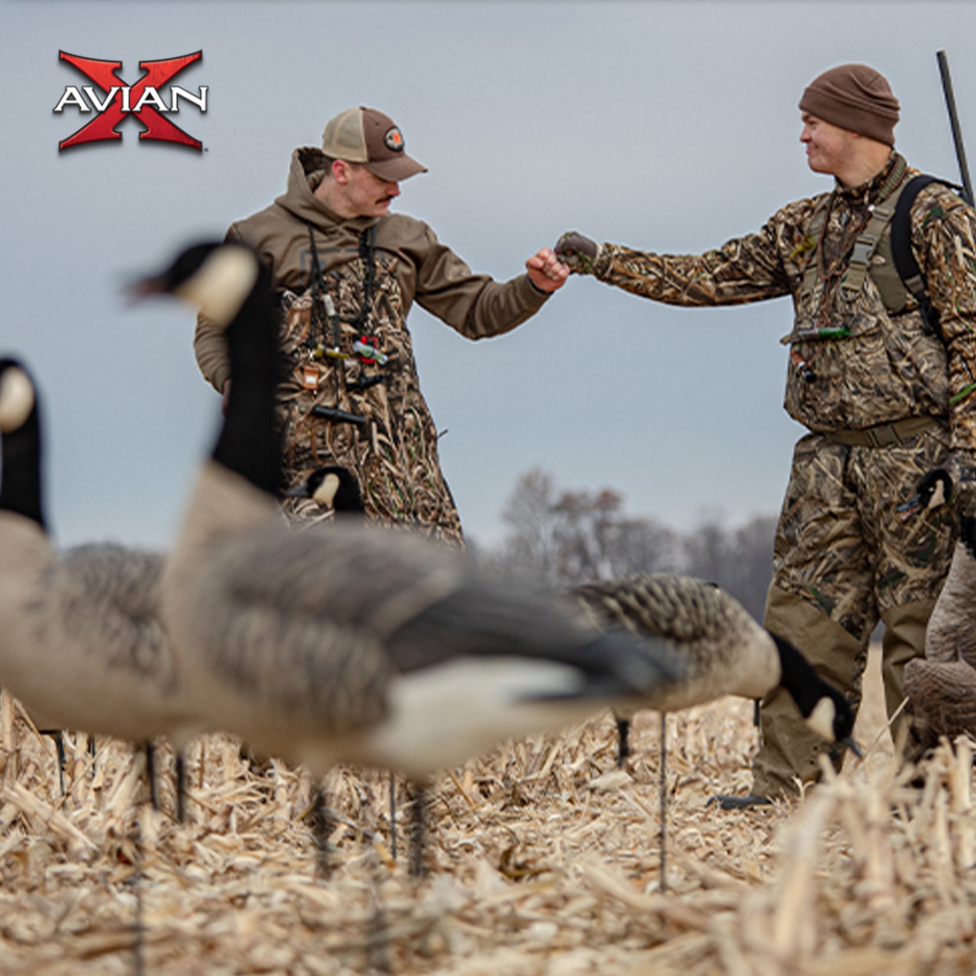 Avian X AXP Honkers Full Body Realistic Goose Decoy with AXP Sentry Walker Set
