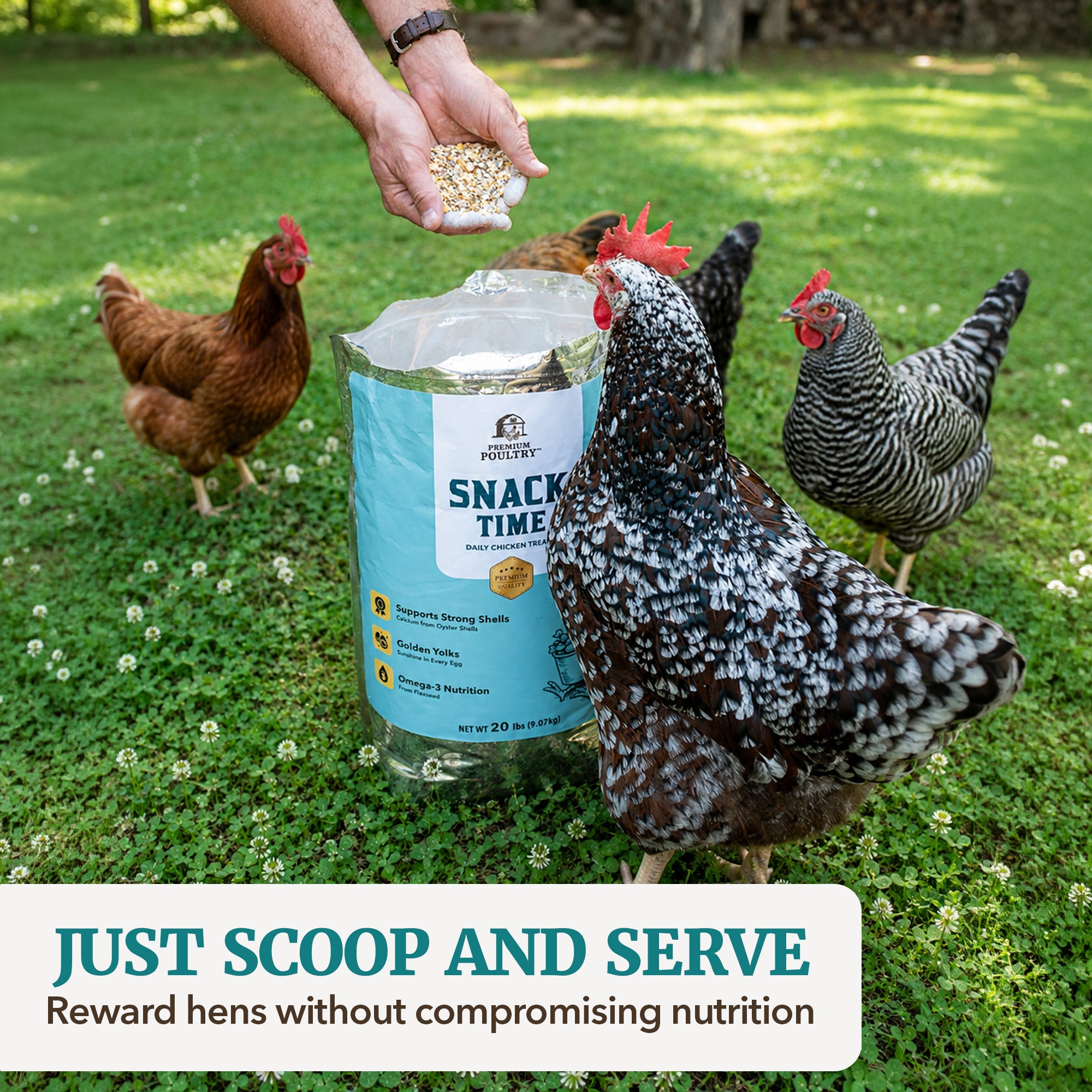 Premium Poultry Snack Time Treat Mix, Supports Egg Shells & Yolk Color, 20 Lb