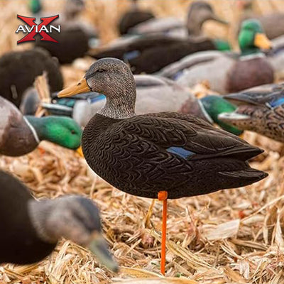 Avian X AXF Flocked Full Body Rugged Durable Black Ducks Fusion Pack, 12 Pack