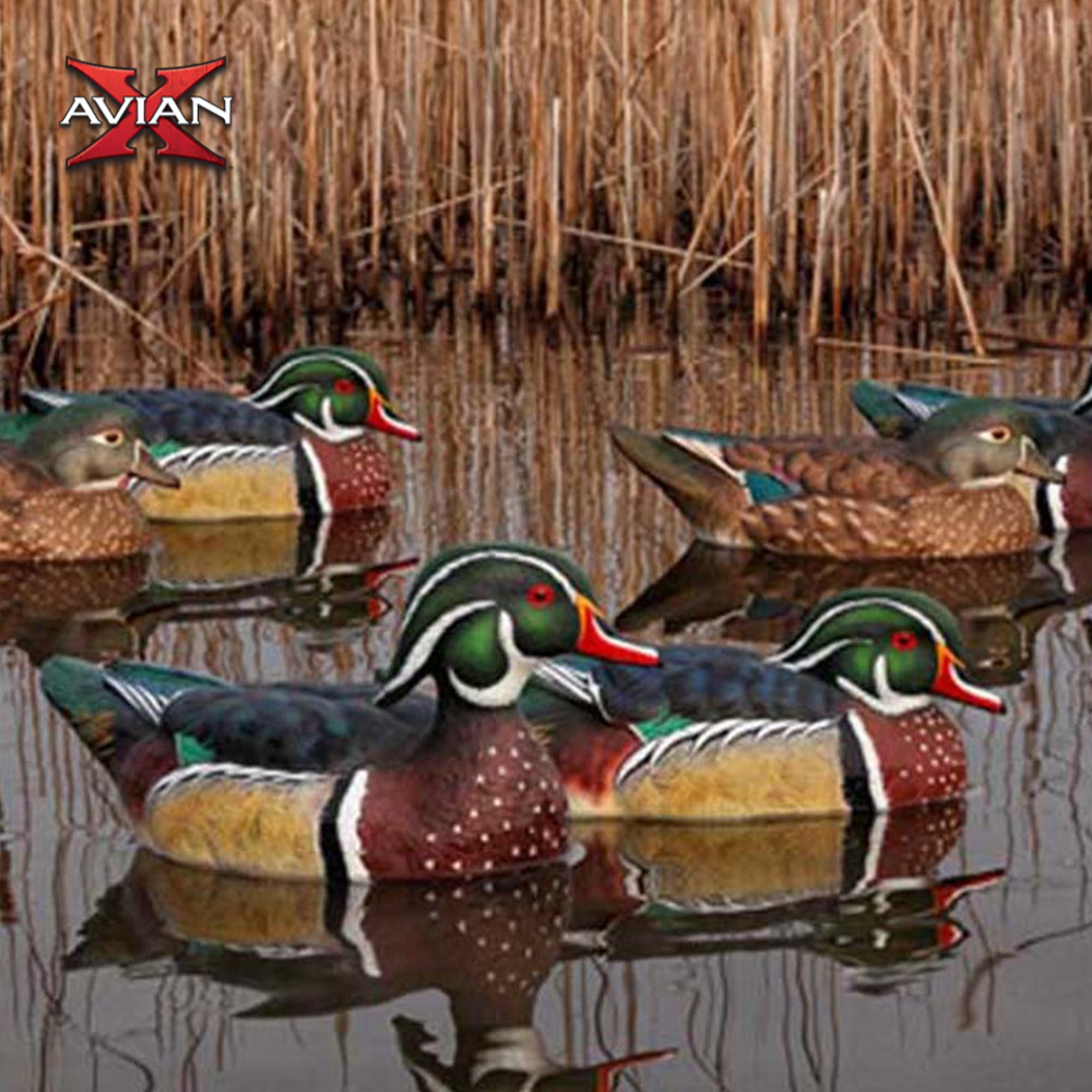Avian X Topflight Wood Ducks, Realistic Floating Decoys, 18 Pack, Multicolor