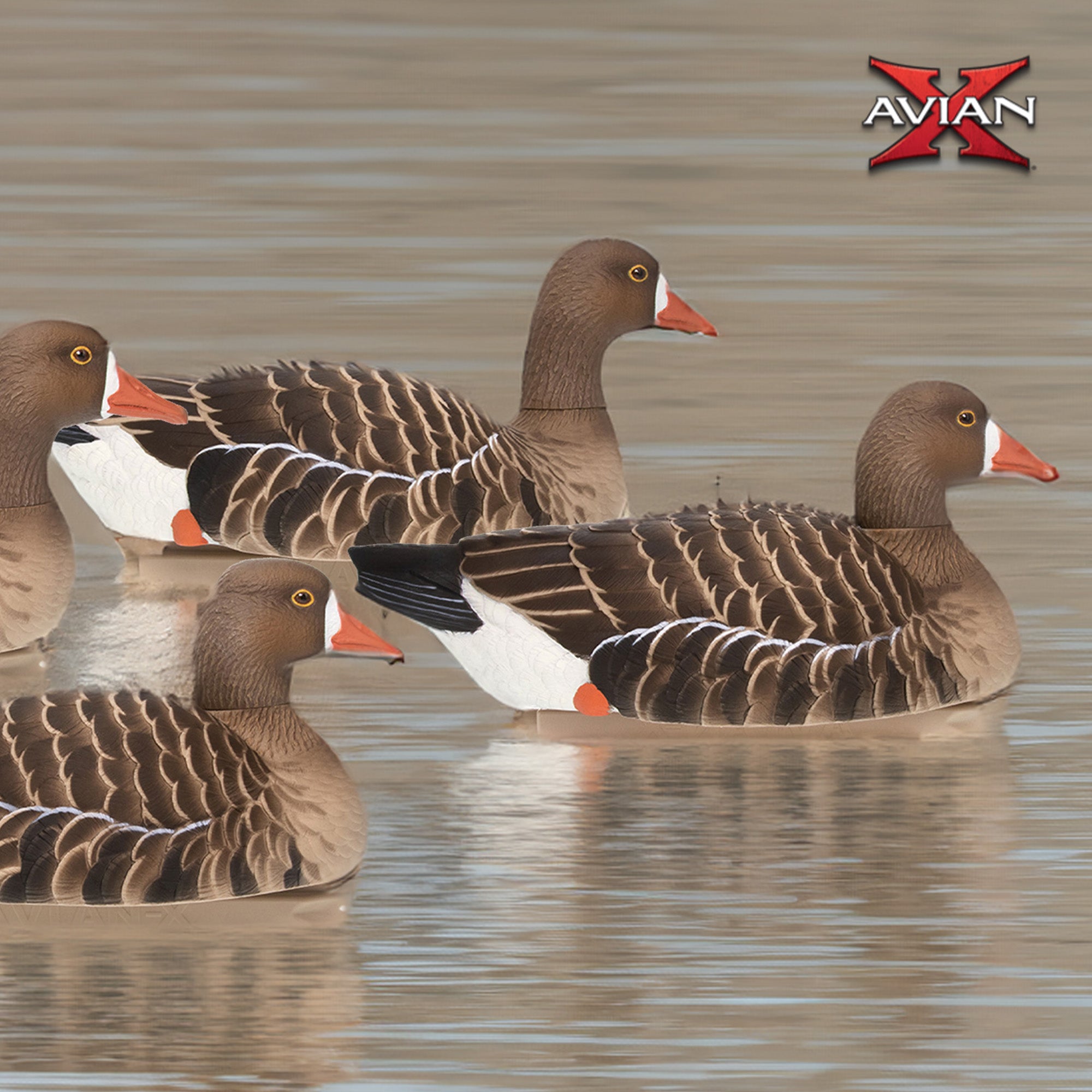 Avian X Topflight Specklebelly Goose Decoys with True to Life Postures, 12 Pack