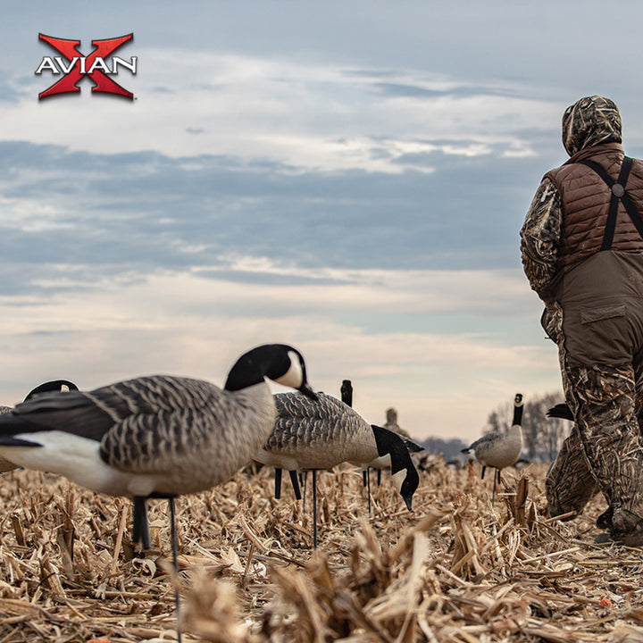 Avian X AXP Honkers Full Body Realistic Paint Canada Goose Decoys Feeder Pack