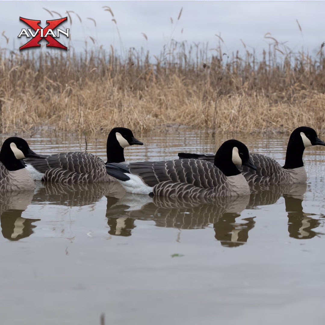 Avian X Topflight Lessers Floating Goose Hunting Decoys for Hunting Purposes - VMInnovations