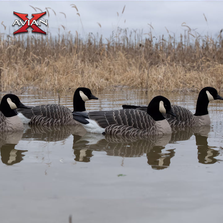 Avian X Topflight Lessers Floating Goose Hunting Decoys for Hunting Purposes