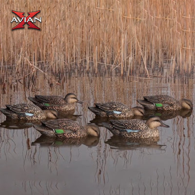 Avian X Topflight Early Season Teal w/ Realistic True to Life Postures, 12 Pack - VMInnovations
