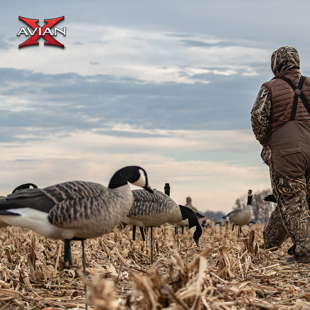 Avian X AXP Honkers Full Body Realistic Paint Canada Goose Decoys Feeder Pack - VMInnovations