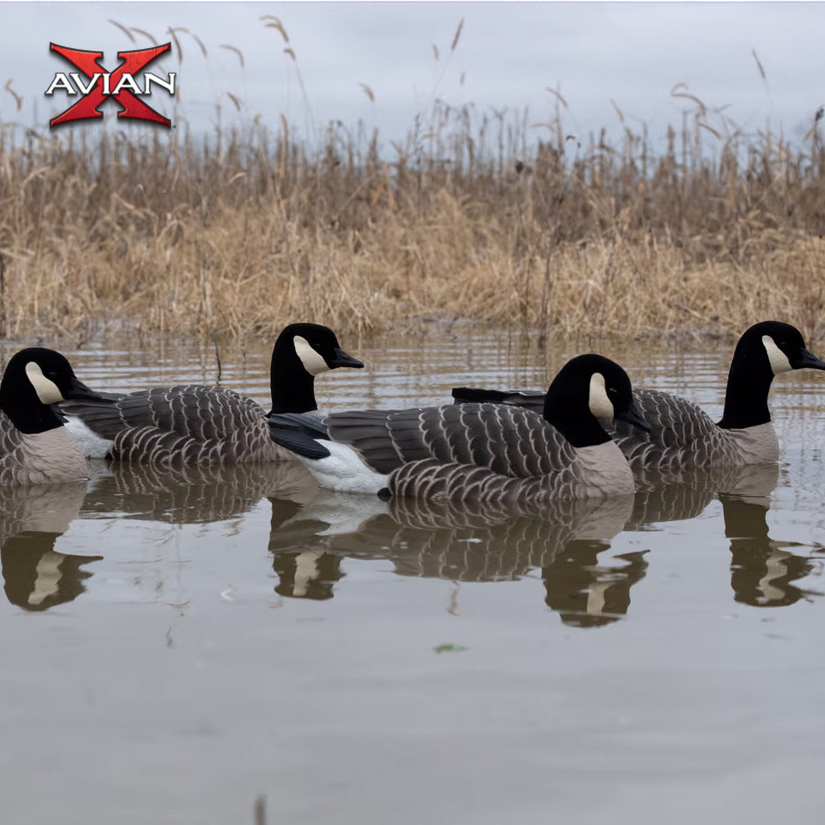 Avian X Lessers 4 Topflight Floating Hunting Decor with Lessers 6 Fusion Pack
