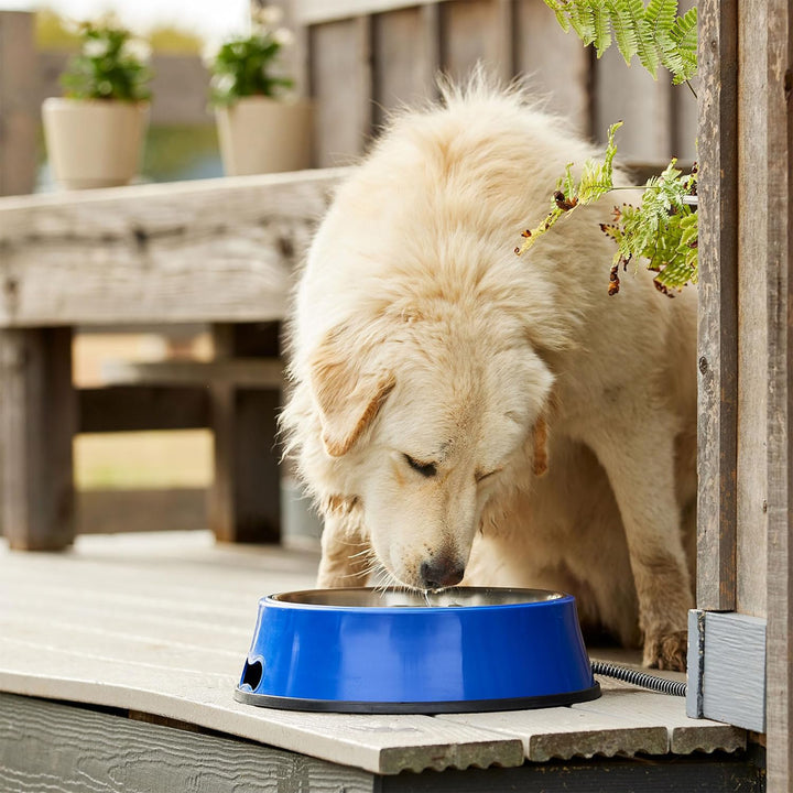 Farm Innovators 5.5 Quart Heated Pet Water Bowl w/Stainless Steel Insert, Blue