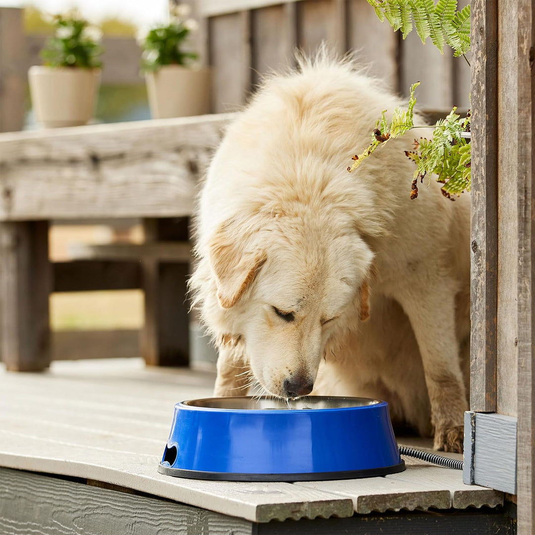 Farm Innovators 5.5 Quart Heated Water Bowl w/Stainless Insert, Blue (Open Box) - VMInnovations