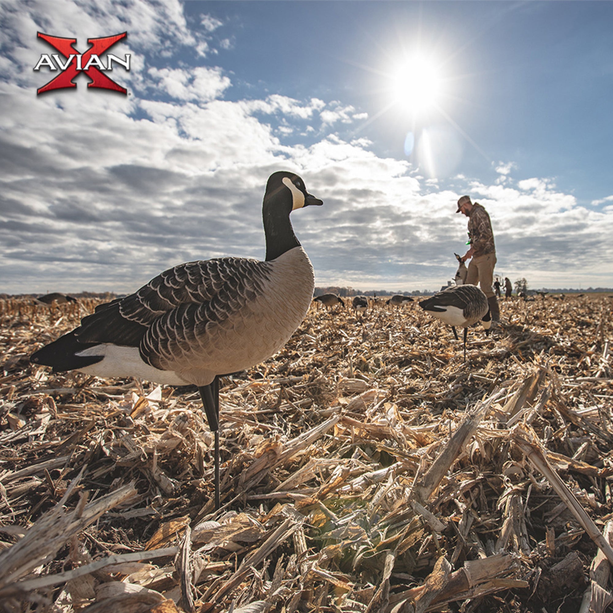 Avian X AXP Lessers Outfitter Pack, 12 Full Body Canada Goose Decoys with Bag