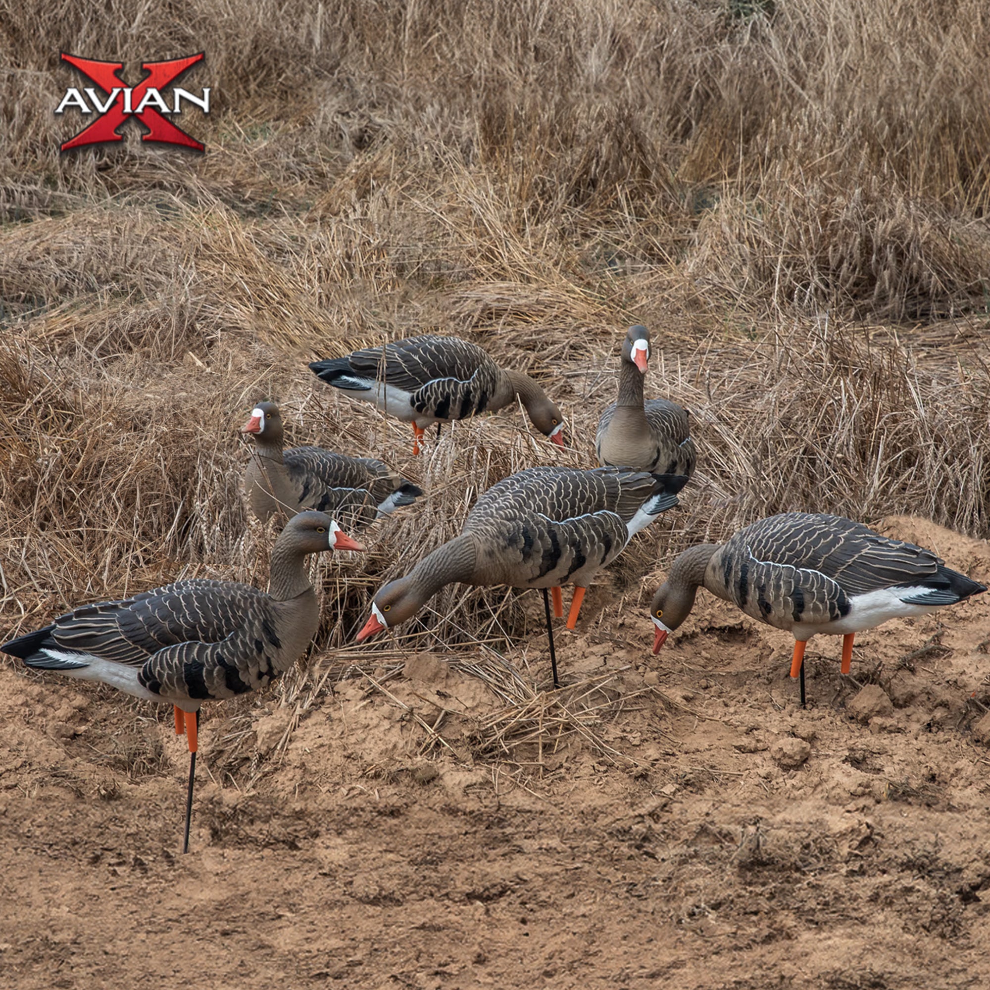 Avian X AVF Specklebelly Fusion Pack with Custom Fitted Bag for Hunting Use - VMInnovations