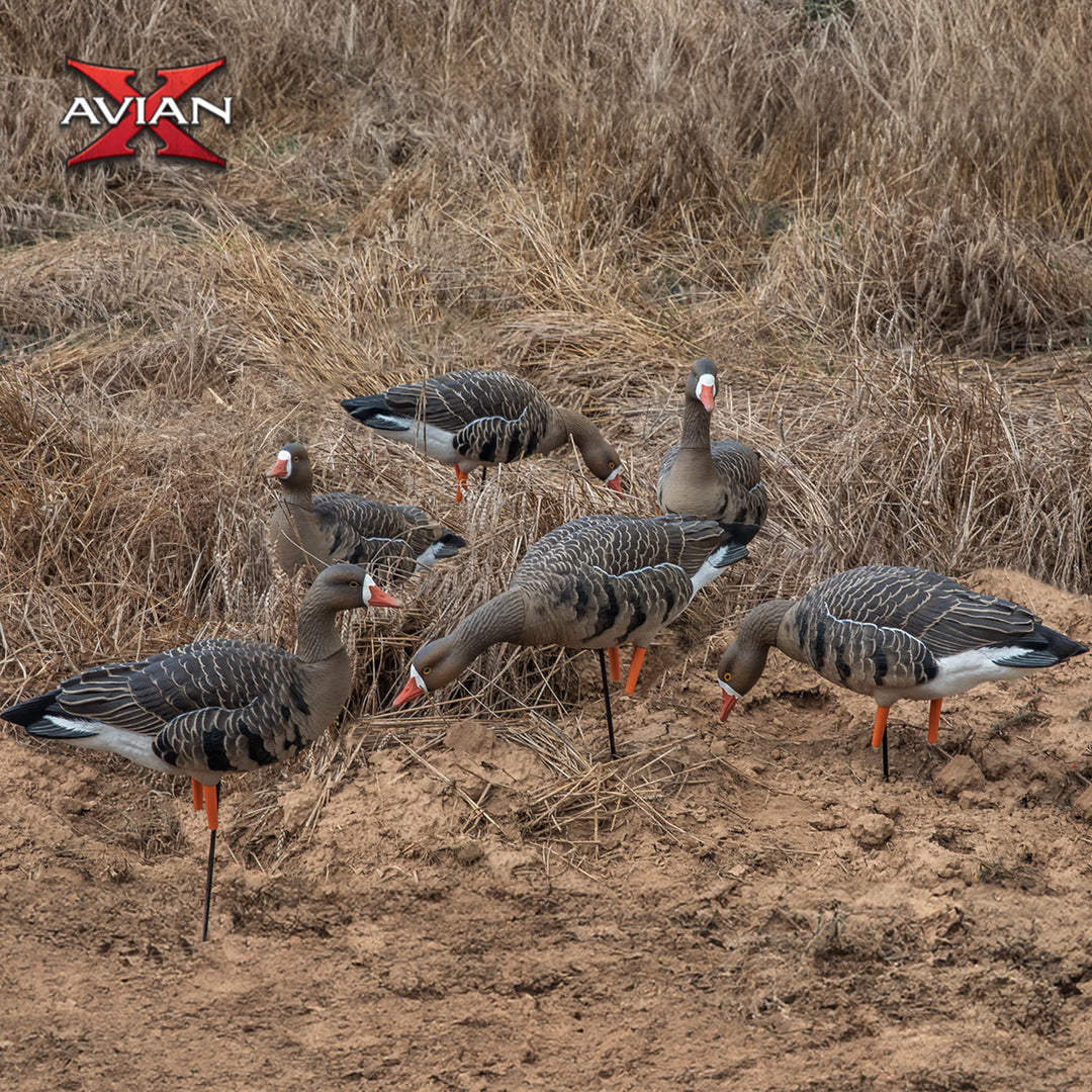 Avian X AVF Specklebelly Fusion Pack with Custom Fitted Bag for Hunting Use