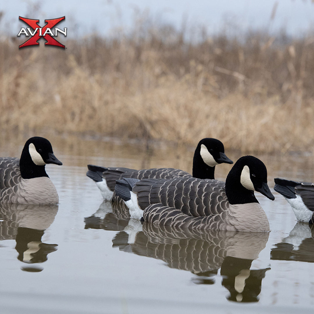 Avian X Honker Floaters w/True to Life Postures for Hunting Use (Open Box) - VMInnovations