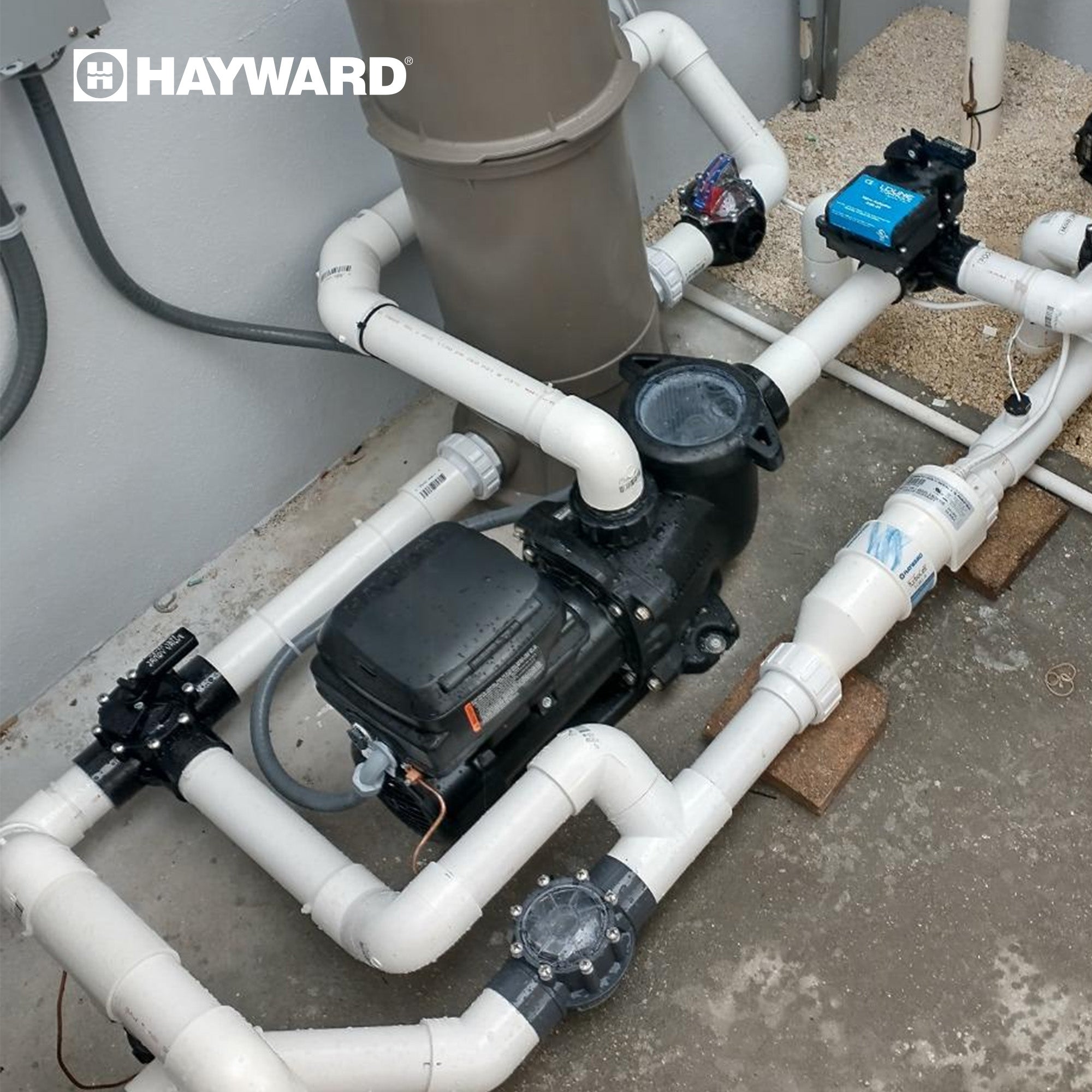 Hayward MaxFlo VS 230V Drop In Variable Speed Pump for In Ground Pools, Black - VMInnovations