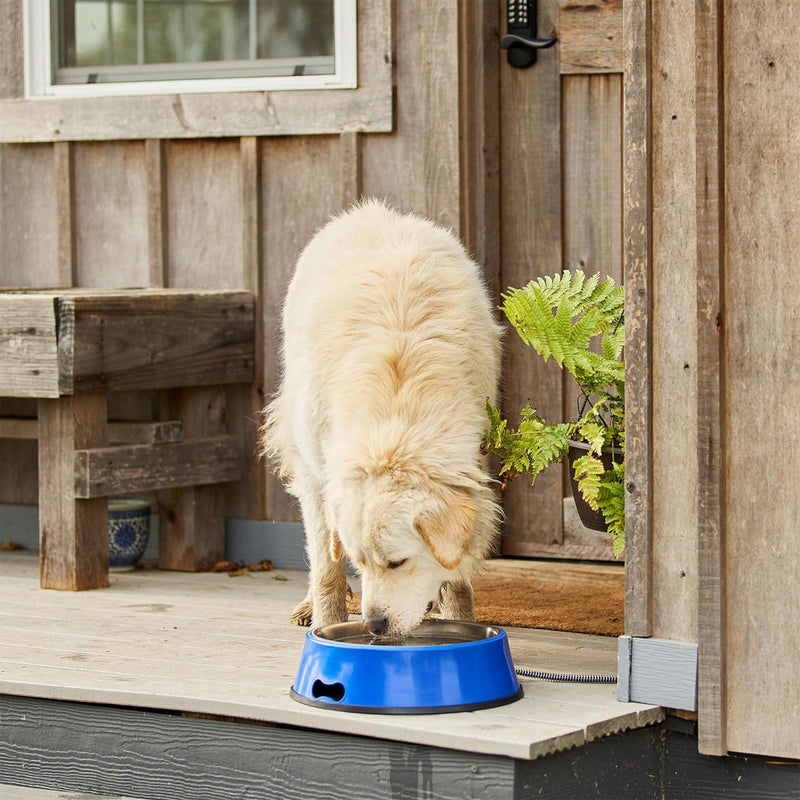 Farm Innovators 5.5 Quart Heated Pet Water Bowl w/Stainless Steel Insert, Blue