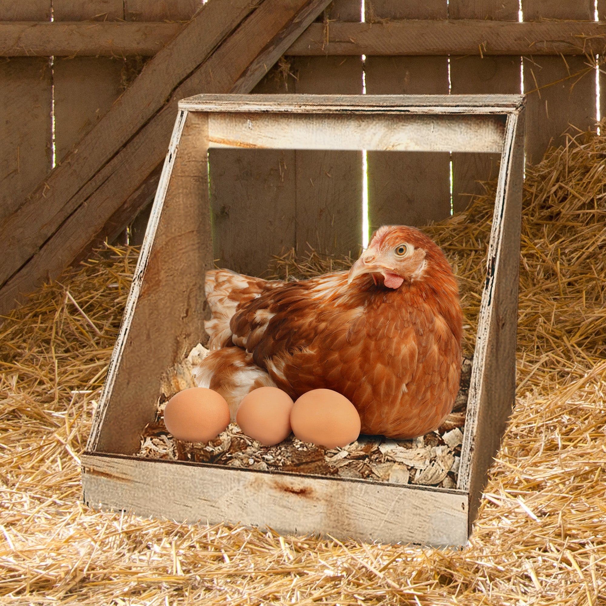 Farm Innovators Wood Nesting Box for Chickens, Ducks & Birds (Open Box) - VMInnovations
