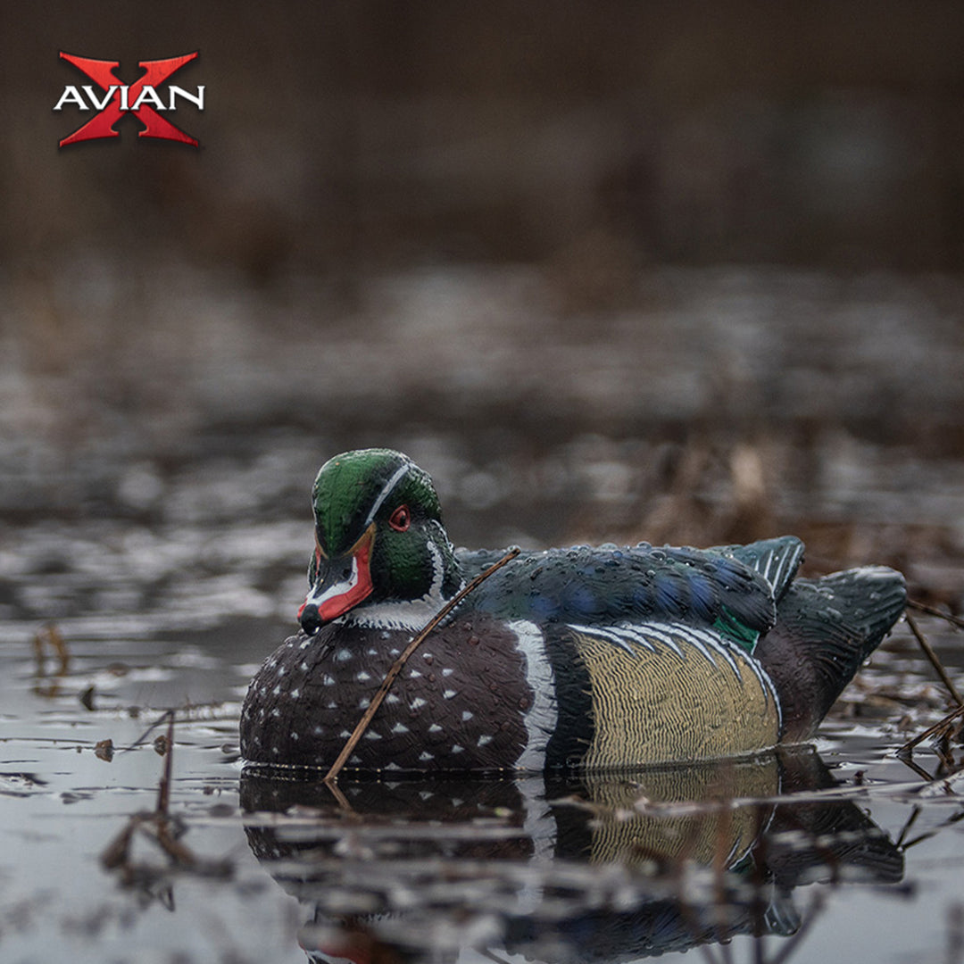 Avian X Topflight Wood Ducks, Floating Decoys, 6 Pack, Multicolor (Open Box) - VMInnovations